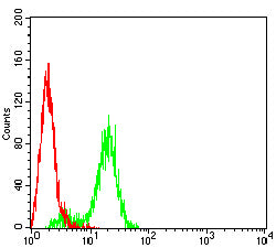 KRT9 Mouse mAb[63852]
