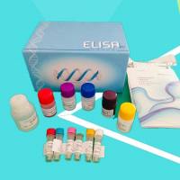 明胶,胶强度~250g Bloom