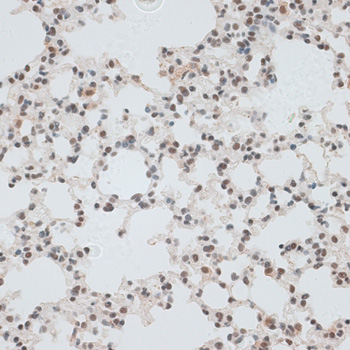 产品细节图片10