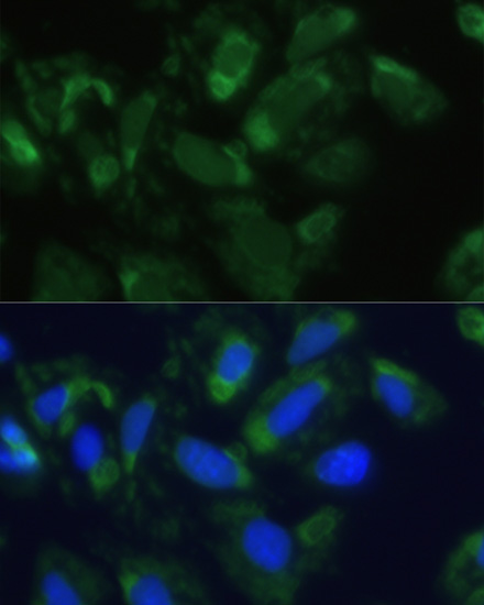 产品细节图片21