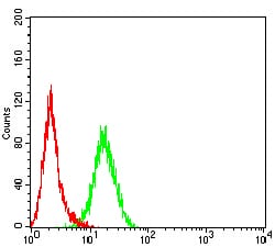 MAP3K14 Mouse mAb[63903]