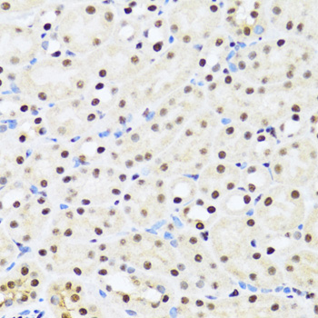 产品细节图片14