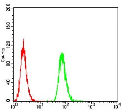HLA-DRA Mouse mAb[63737]