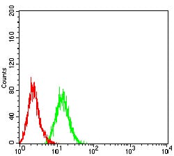 SOD2 Mouse mAb[64264]