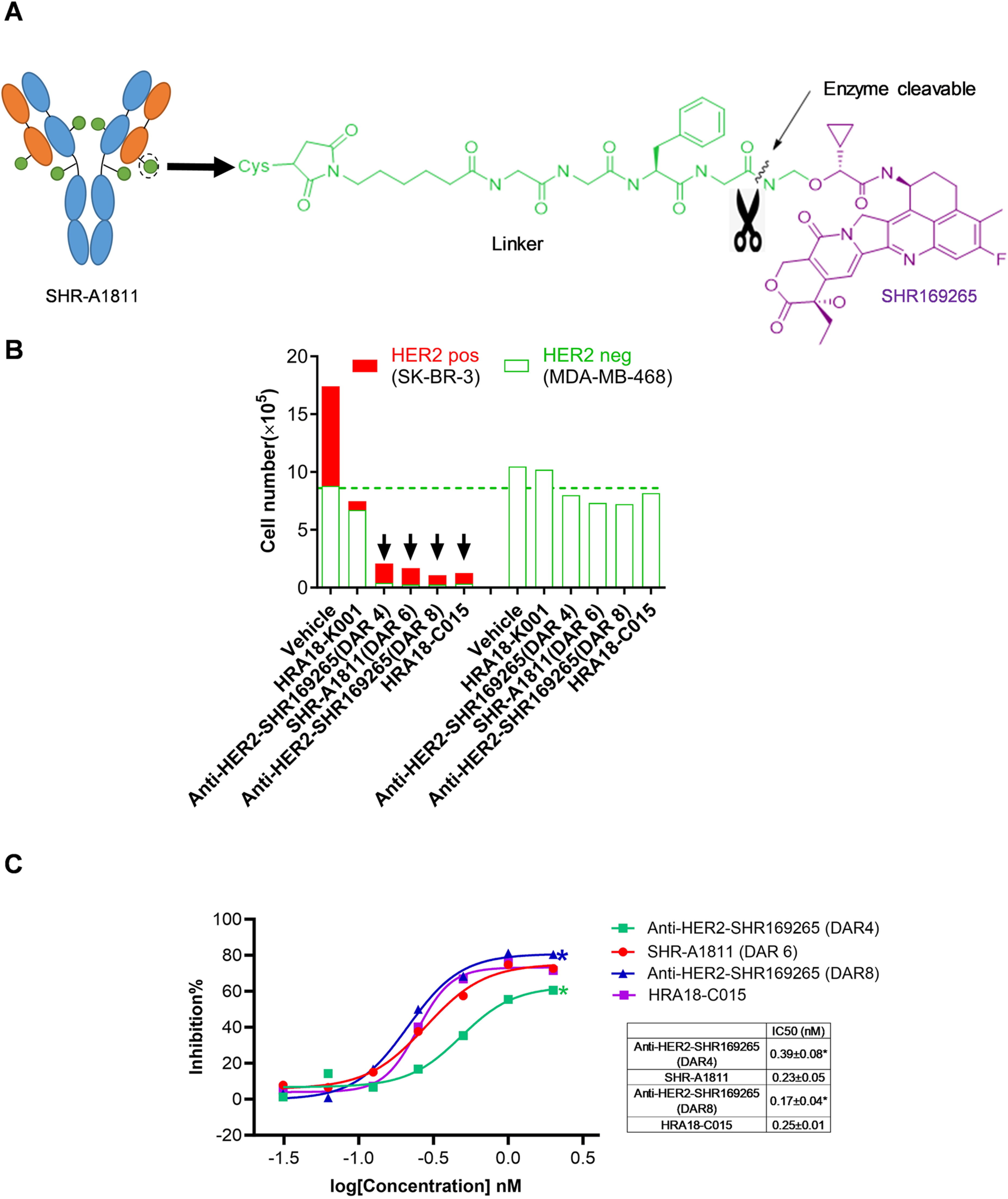 BMG LABTECH多功能酶标仪文献分享,恒瑞的研究团队发表在PLOSOne 上名为 “SHR-A1811, a novel anti-HER2 antibody–drug conjugate with optimal drug-to-antibody ratio, efficient tumor killing potency, and favorable safety profiles”