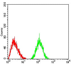 LRP4 Mouse mAb[63883]