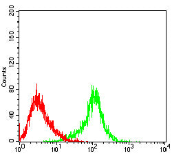 HSP70 Mouse mAb[63751]