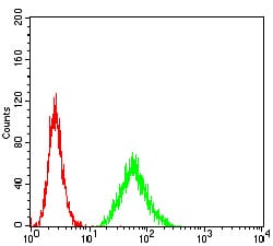 HLA-B Mouse mAb[63731]