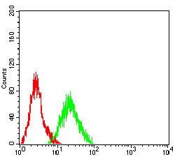 C5AR2 Mouse mAb[63179]