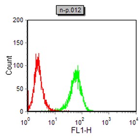 NOS2 Mouse mAb[64007]