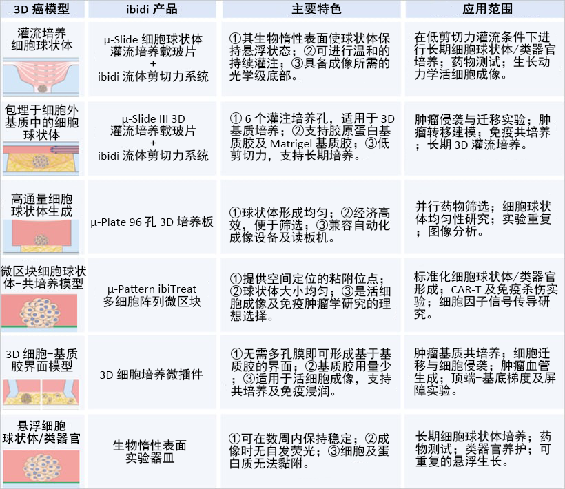 定格癌魔一举一动：从肿瘤微环境到显微视域