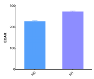 RAW264.7巨噬细胞诱导M1型极化后检测ECAR