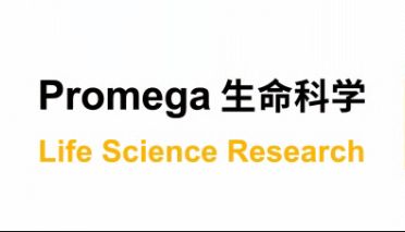 3大关键点！看懂类器官代谢监测为何不可或缺
