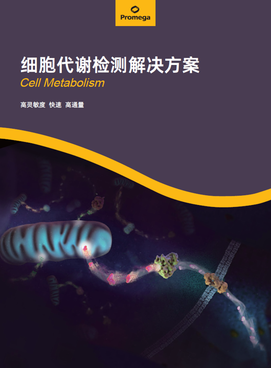 3大关键点!看懂类器官代谢监测为何不可或缺