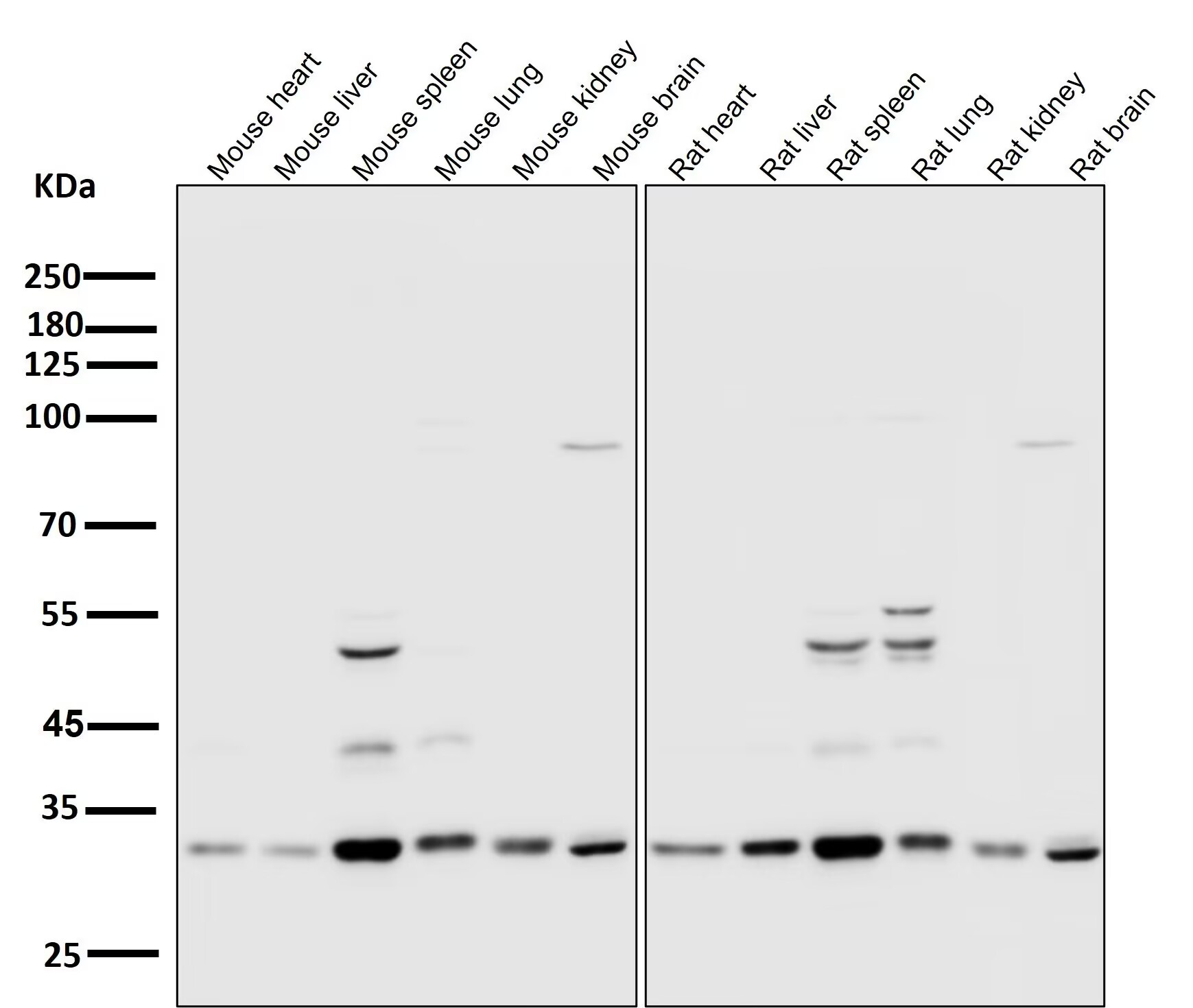 产品细节图片10
