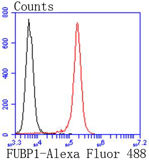 产品细节图片11