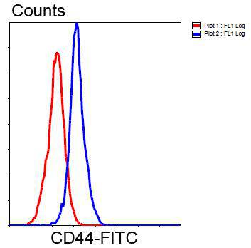CD44 Antibody[48353]