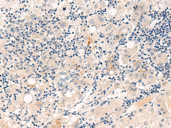 产品细节图片1