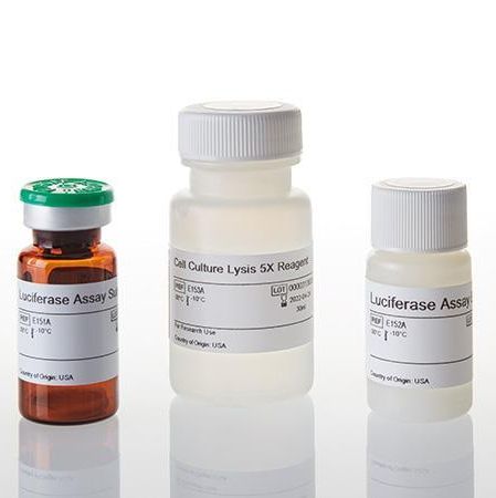 萤光素酶检测系统(萤火虫萤光素酶检测试剂)