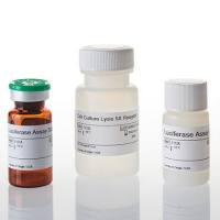 萤光素酶检测系统（萤火虫萤光素酶检测试剂）