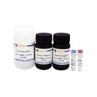 尿素检测试剂盒(显色法)