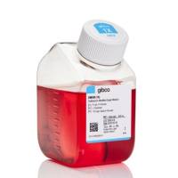 DMEM，高糖，11995073-10x500mL