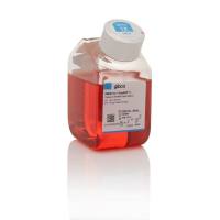 DMEM,低糖,含 GlutaMAX™ 添加剂,10567014