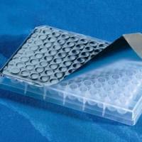 康宁 corning ，6570 96孔PCR密封膜，铝箔材质
