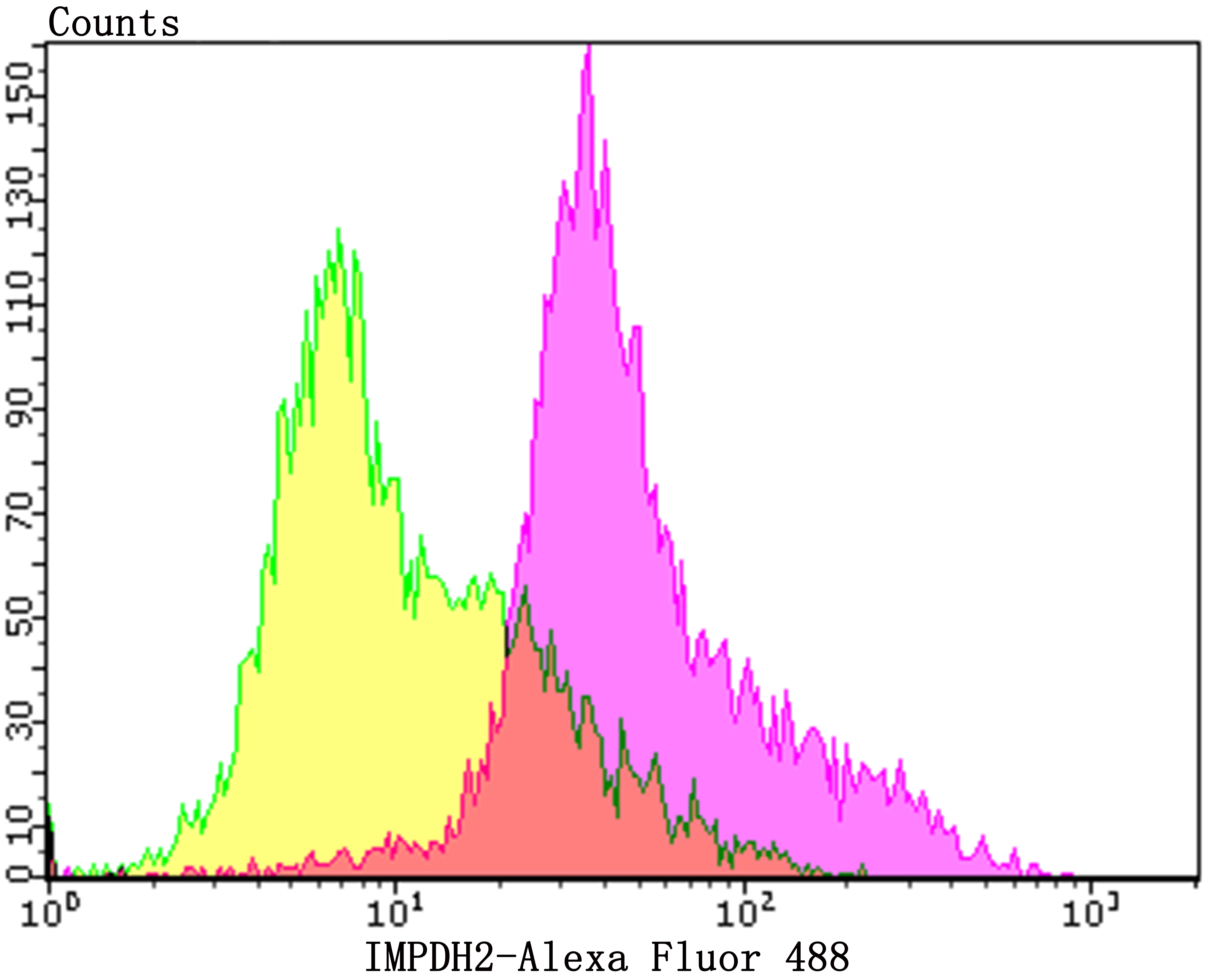 IMPDH2 Rabbit mAb[49979]