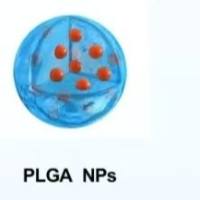 环RGD修饰PLGA纳米颗粒用于顺铂的肿瘤靶向递送与体内成像 CDDP/DiD@PLGA NPs-cRGD