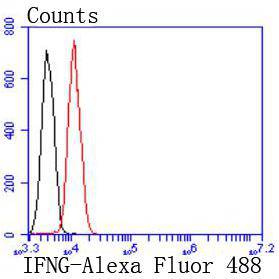 Interferon gamma Rabbit mAb[49