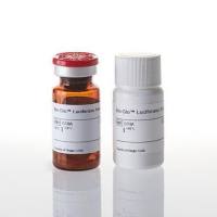 Bio-Glo™萤光素酶报告基因检测系统