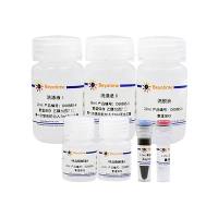 BeyoMag™基因组DNA小量抽提试剂盒(通用型, 磁珠法)