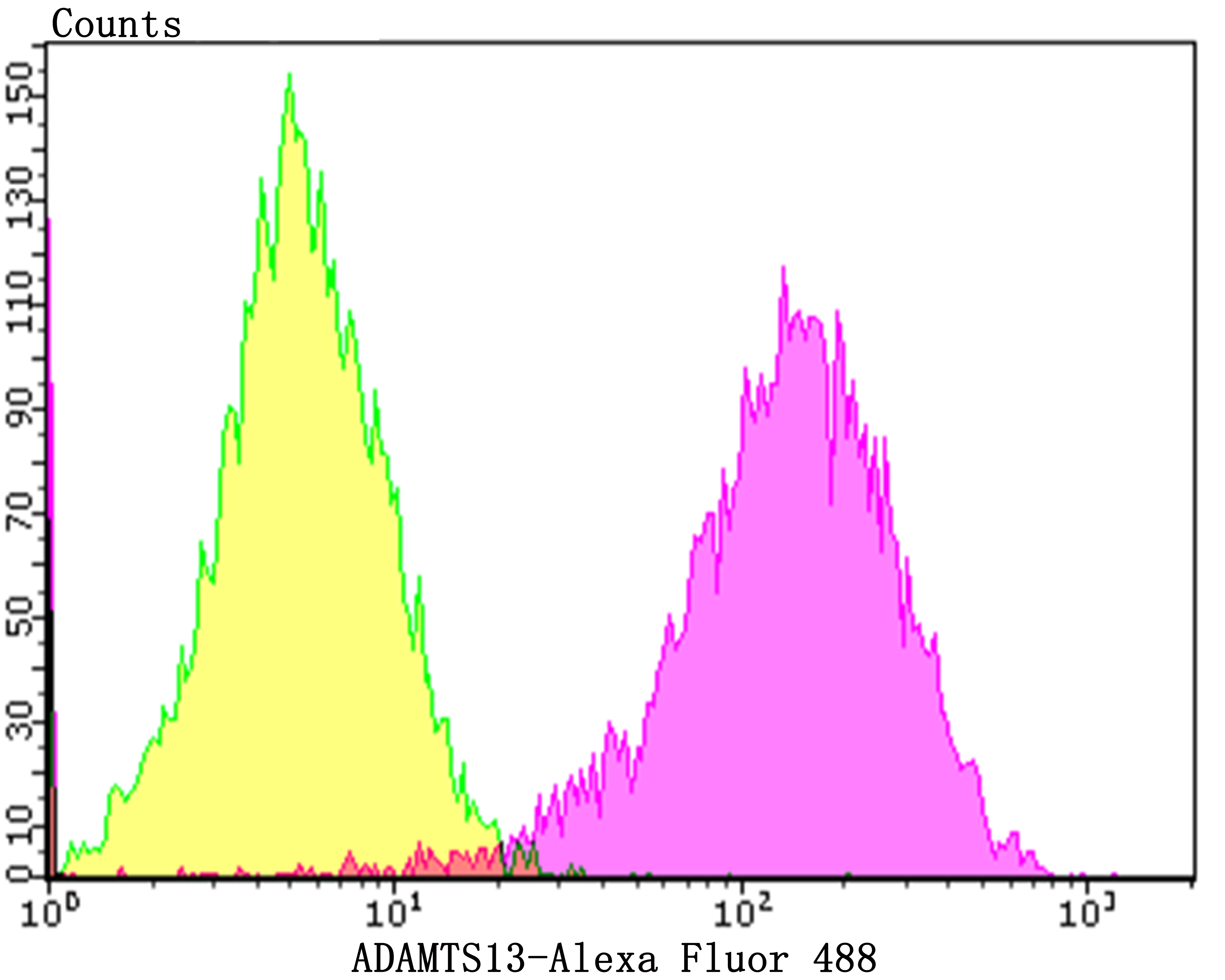 ADAMTS13 Rabbit mAb[49953]