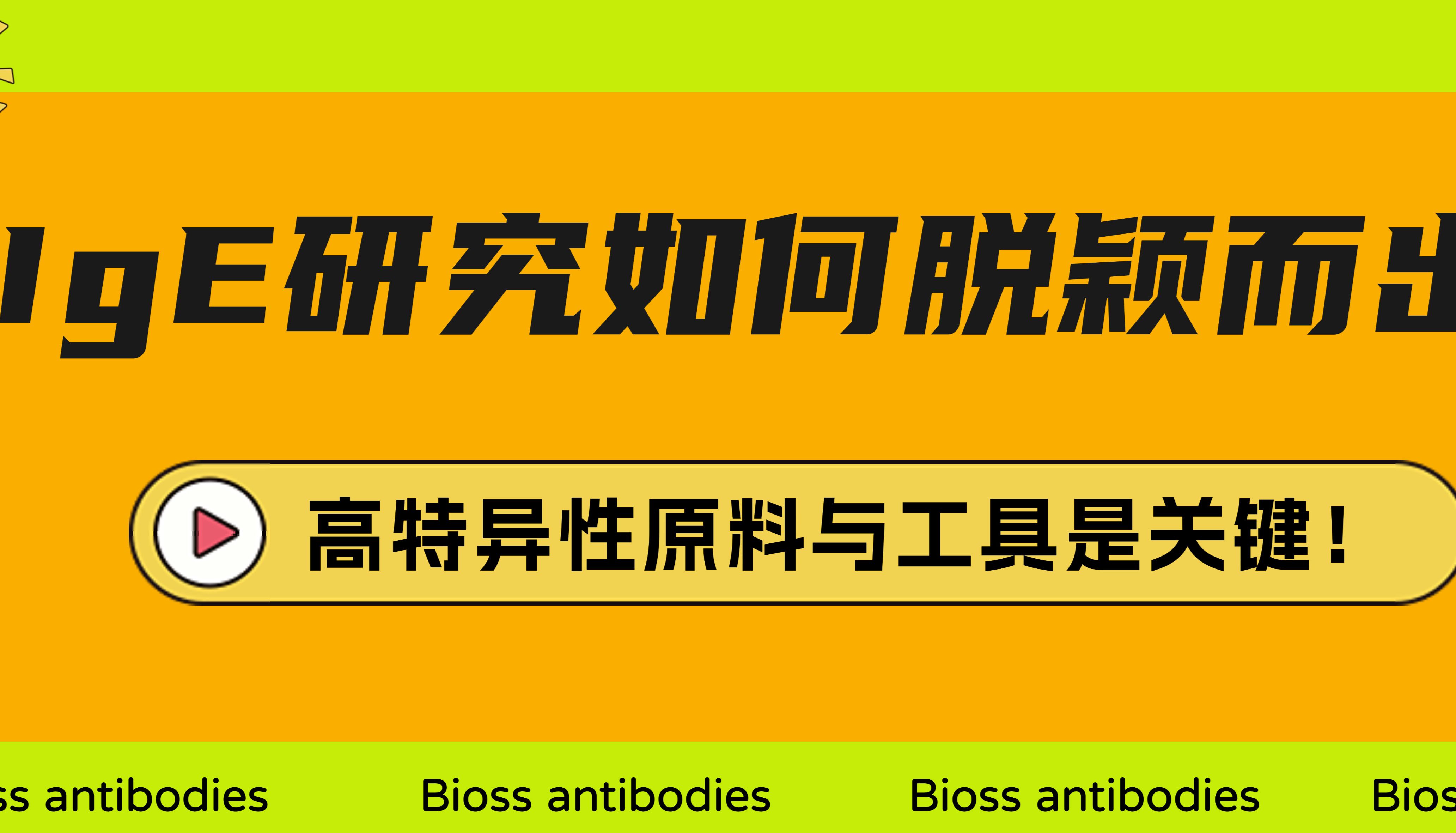 Bioss 爆品推荐│IgE研究如何脱颖而出？高特异性原料与工具是关键！