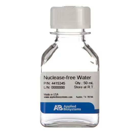 无核酸酶水（未经 DEPC 处理） ，AM9937