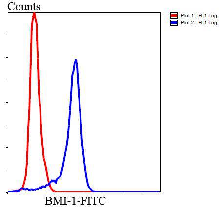 Bmi1 Antibody[48484]
