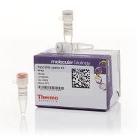 快速 DNA 连接试剂盒，K1423