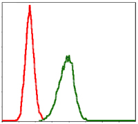 LPlunc1 Antibody[48460]
