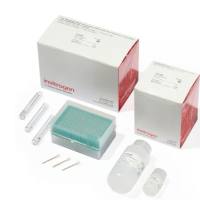 Neon ™转染系统 100 μ L 试剂盒，MPK10096