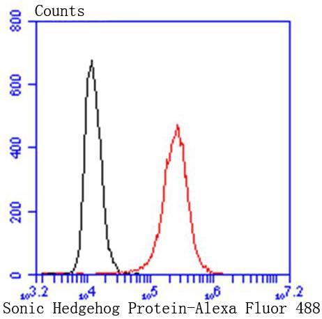 Sonic Hedgehog Protein/SHH(C-P