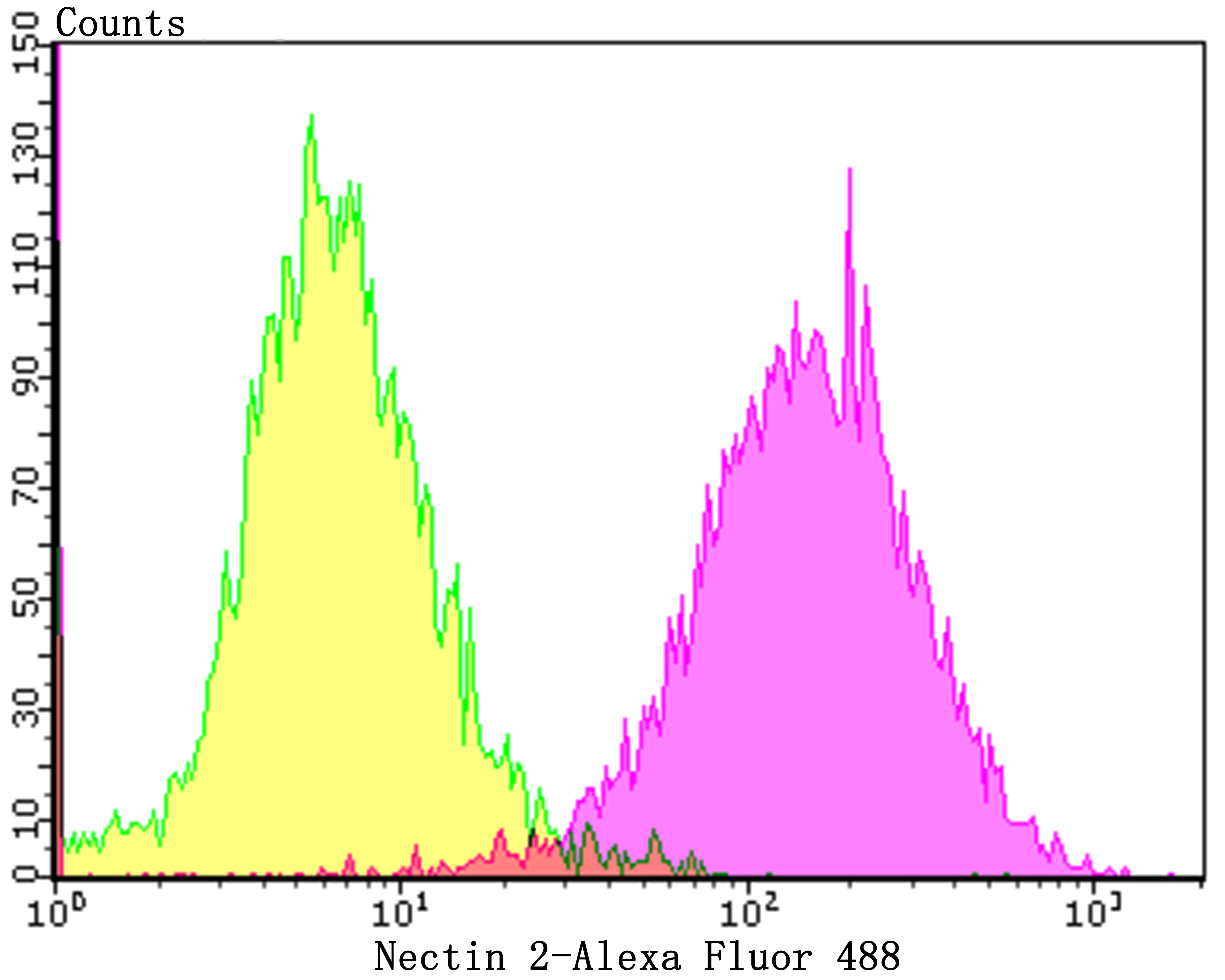 Nectin 2 Rabbit mAb[49959]