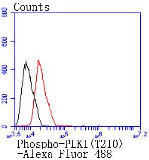 Phospho-PLK1(T210) Rabbit mAb[
