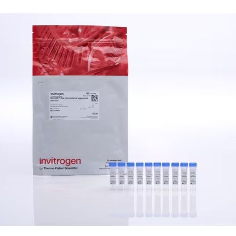 MitoSOX™ 线粒体超氧化物指示剂,用于活细胞成像,M36008