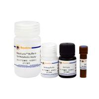 多巴胺检测试剂盒(荧光法)