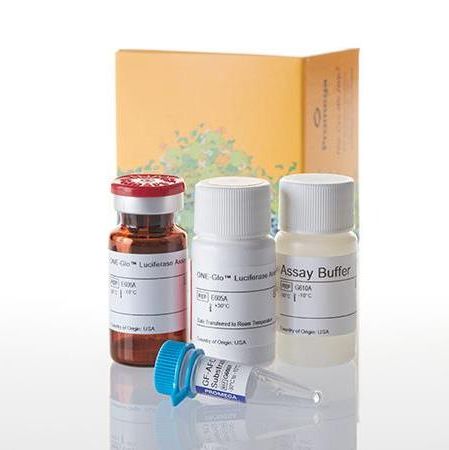 ONE-Glo™ + Tox萤光素酶报告基因和细胞活力检测系统，10 Plates产品图