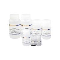 BeyoMag™植物基因组DNA小量抽提试剂盒(磁珠法)