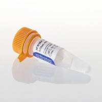 pGL4.35(luc2P/9XGAL4UAS/Hygro) Vector，20µg