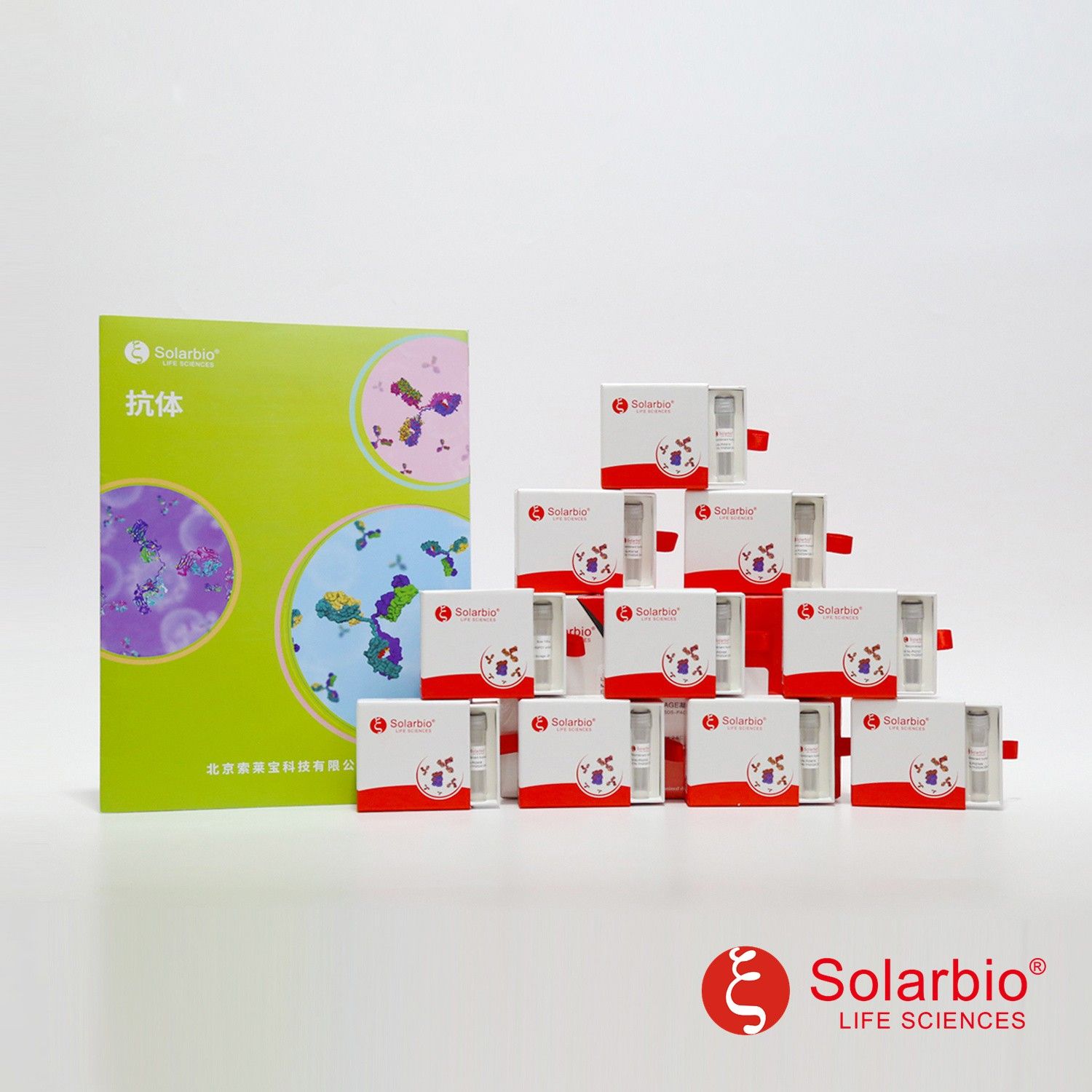 K118429P Anti-PON3 Polyclonal Antibody