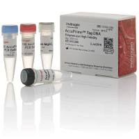 AccuPrime™ Taq 高保真 DNA聚合酶，12346086
